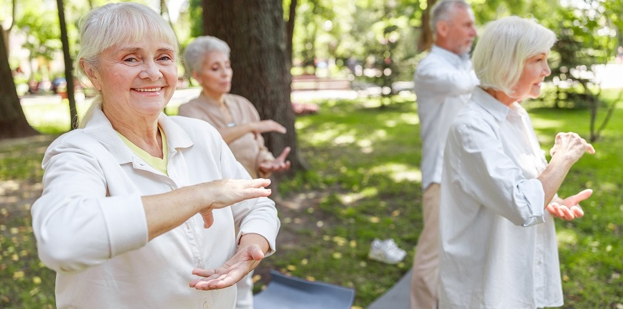 Kleine Änderung des Lebensstils fördert Gefäßgesundheit von adipösen Senioren
