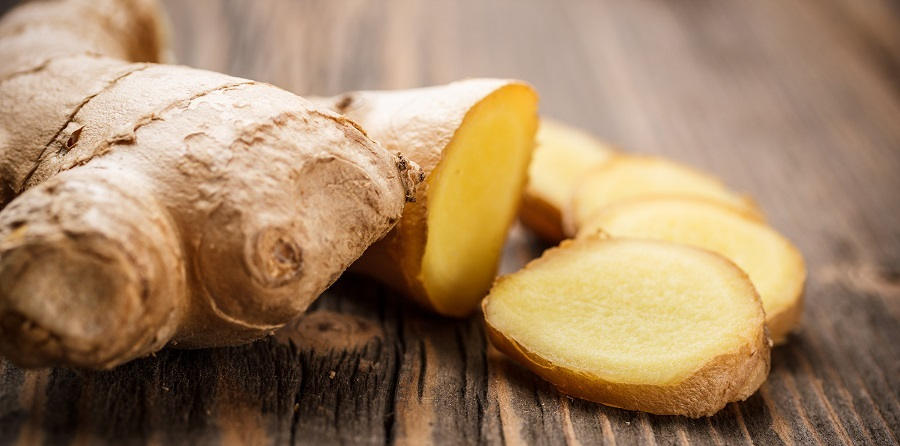 Arzneipflanze des Jahres 2026 Ingwer (Zingiber officinale)